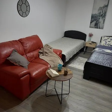 Kuca Za Odmor Sa 3 Spavace Sobe Villa Kragujevac